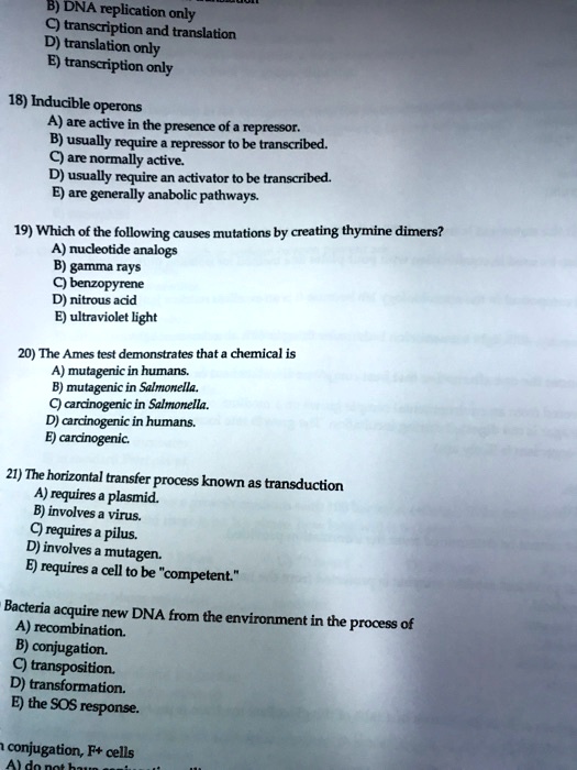 B) DNA replication only
C) transcription and translation
D) translation only
E) transcription only
18) Inducible operons
A) are active in the presence of a repressor.
B) usually require a repressor to be transcribed.
C) are normally active.
D) usually require an activator to be transcribed.
E) are generally anabolic pathways.
19) Which of the following causes mutations by creating thymine dimers?
A) nucleotide analogs
B) gamma rays
C) benzopyrene
D) nitrous acid
E) ultraviolet light
20) The Ames test demonstrates that a chemical is
A) mutagenic in humans.
B) mutagenic in Salmonella.
C) carcinogenic in Salmonella.
D) carcinogenic in humans.
E) carcinogenic.
21) The horizontal transfer process known as transduction
A) requires a plasmid.
B) involves a virus.
C) requires a pilus.
D) involves a mutagen.
E) requires a cell to be "competent."
Bacteria acquire new DNA from the environment in the process of
A) recombination.
B) conjugation.
C) transposition.
D) transformation.
E) the SOS response.
conjugation, F+ cells
