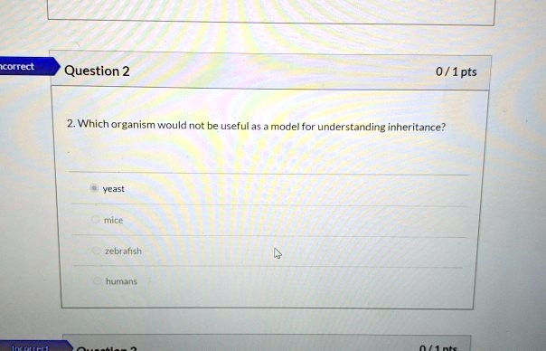 solved-kcorred-question-2-0-1pts-which-organism-would-not-usefulas