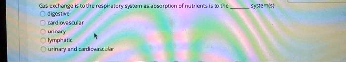 Gas exchange is to the respiratory system as absorption of nutrients is to the  system(s).
digestive
cardiovascular
urinary
lymphatic
urinary and cardiovascular