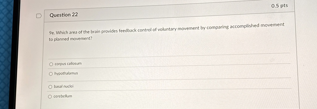 question 22 05 pts 9e which area of the brain provides feedback control of voluntary movement by comparing accomplished movement to planned movement corpus callosum hypothalamus basal nuclei 52667