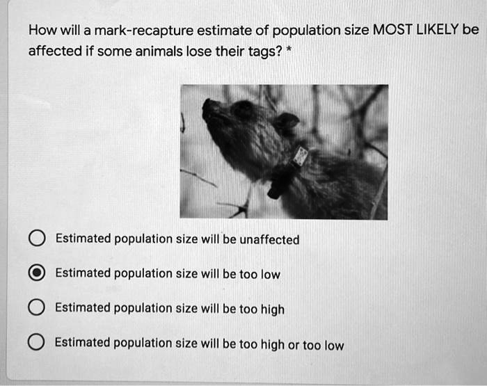 SOLVED: How will a mark-recapture estimate of population size MOST LIKELY  be affected if some animals lose their tags? Estimated population size will  be unaffected Estimated population size will be too low