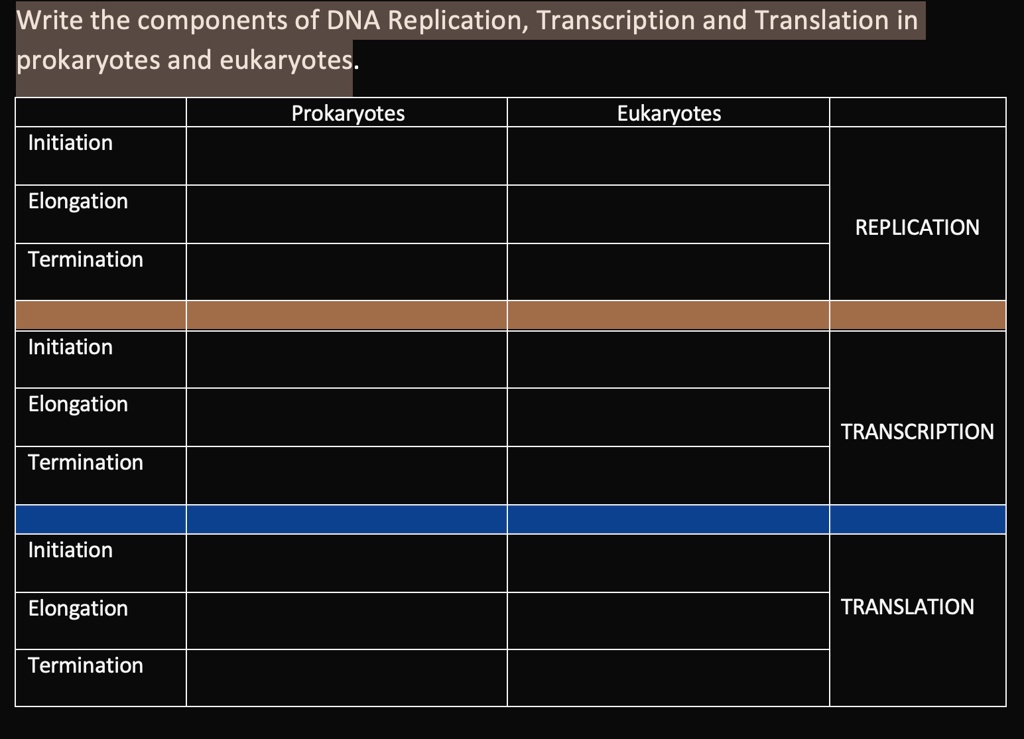 Solved Write The Components Of Dna Replication Transcription And Translation In Prokaryotes