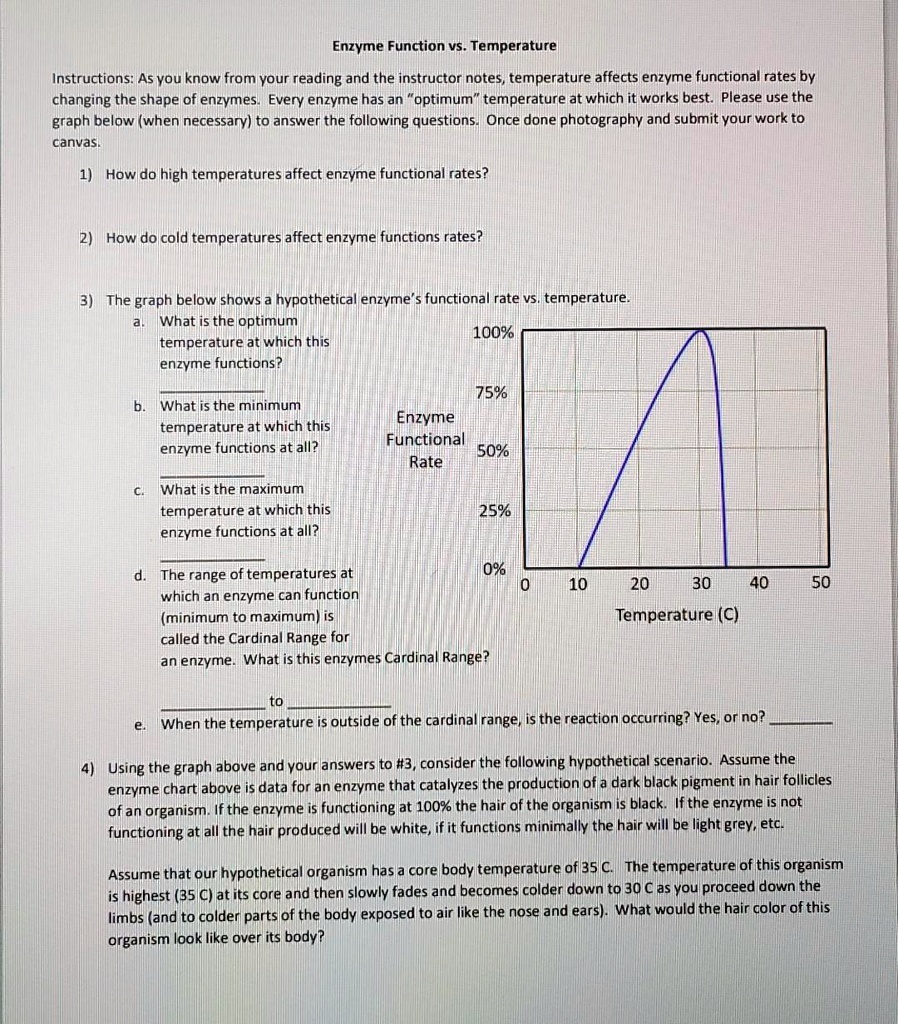 SOLVED Help! Enzyme Function vs. Temperature Instructions As you know