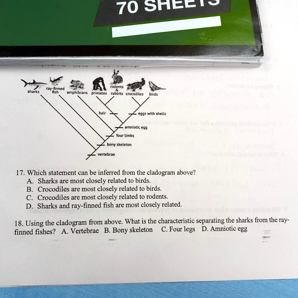 SOLVED: 17. Which Statement Can Be Inferred From The Cladogram Above? A ...