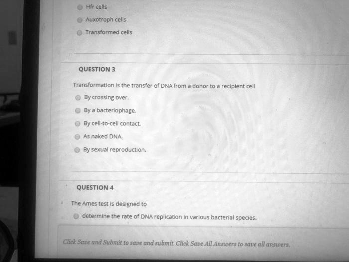 SOLVED Hir cells Auxotroph cells Transformed cells Question 3