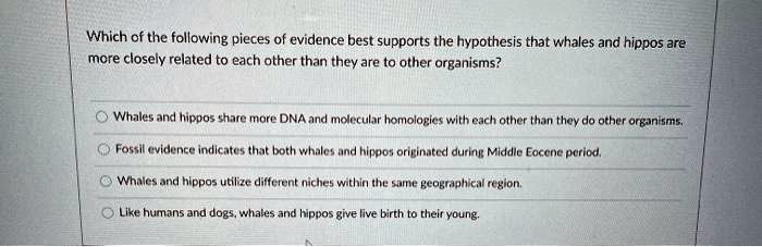Which of the following pieces of evidence best supports the hypothesis