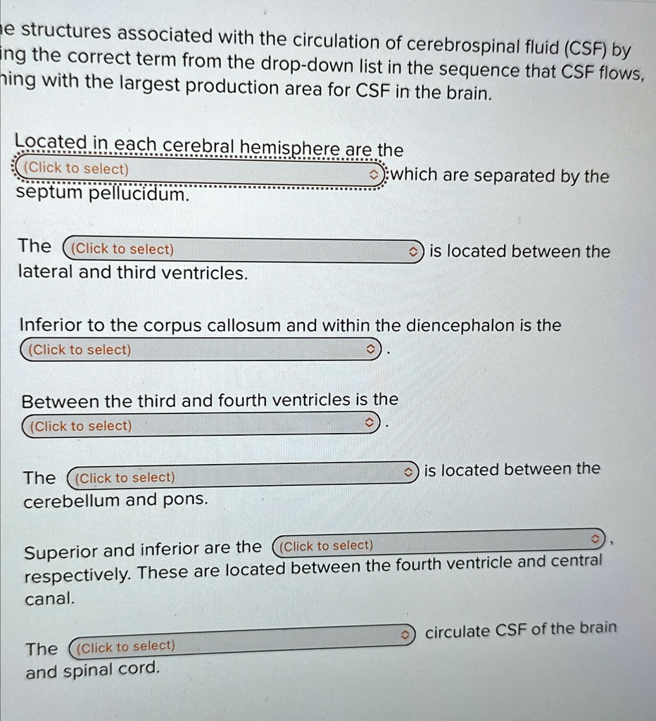 structures associated with the circulation of cerebrospinal fluid csf ...