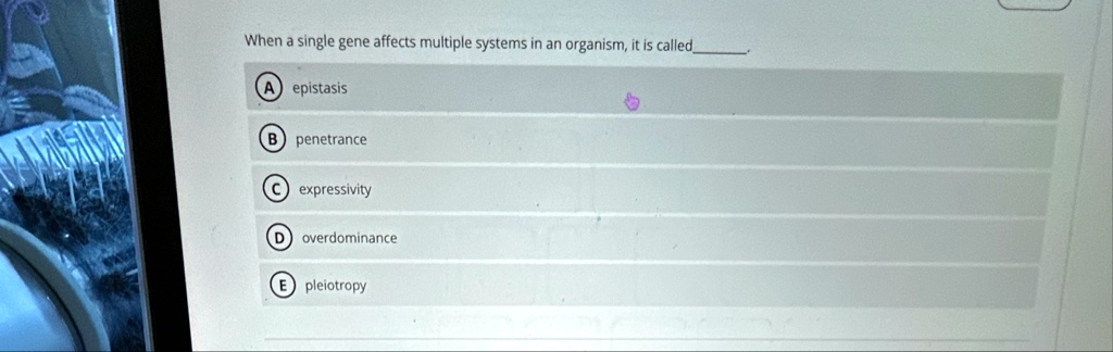 when a single gene affects multiple systems in an organism it is called a epistasis b penetrance c expressivity d overdominance e pleiotropy 62565
