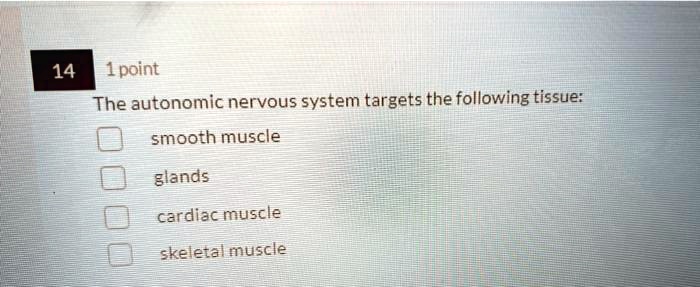 Which Of The Following Does Not Apply To Skeletal Muscle SOLVED: The autonomic nervous system targets the following tissues