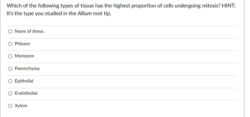 Which of the following types of tissue has the highest proportion of cells undergoing mitosis? HINT:
It's the type you studied in the Allium root tip.
None of these.
Phloem
Meristem
Parenchyma
Epithelial
Endothelial
Xylem