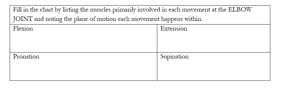 Fill In The Chart By Listing The Muscles Primarily Involved In Each 