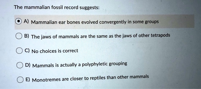 SOLVED: The mammalian fossil record suggests: 0 A) Mammalian ear bones