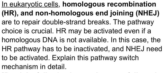 In eukaryotic cells, homologous recombination (HR), and non-homologous end joining (NHEJ) are to repair double-strand breaks. The pathway choice is crucial. HR may be activated even if a homologous DNA is not available. In this case, the HR pathway has to be inactivated, and NHEJ need to be activated. Explain this pathway switch mechanism in detail.