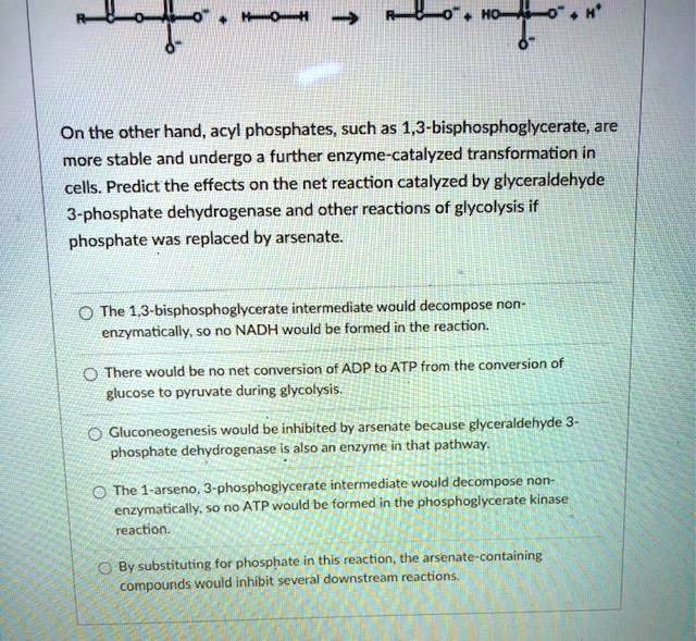 On the other hand, acyl phosphates, such as 1,3-bisphosphoglycerate, are more stable and undergo a further enzyme-catalyzed transformation in cells. Predict the effects on the net reaction catalyzed by glyceraldehyde 3-phosphate dehydrogenase and other reactions of glycolysis if phosphate was replaced by arsenate.

The 1,3-bisphosphoglycerate intermediate would decompose non-enzymatically, so no NADH would be formed in the reaction.

There would be no net conversion of ADP to ATP from the conversion of glucose to pyruvate during glycolysis.

Gluconeogenesis would be inhibited by arsenate because glyceraldehyde 3-phosphate dehydrogenase is also an enzyme in that pathway.

The 1-arseno, 3-phosphoglycerate intermediate would decompose non-enzymatically, so no ATP would be formed in the phosphoglycerate kinase reaction.

By substituting for phosphate in this reaction, the arsenate-containing compounds would inhibit several downstream reactions.