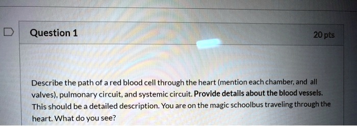 question 1 20 pts describe the path of ared blood cell through the ...