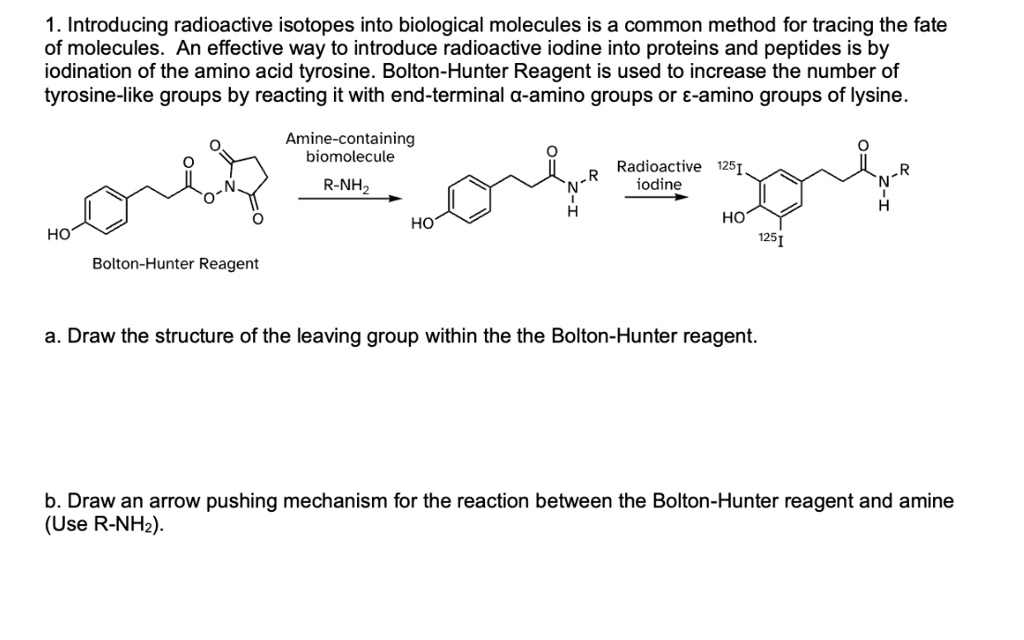 1 introducing radioactive isotopes into biological molecules is a ...