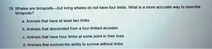 SOLVED: 19. Whales are tetrapods but living whales do not have four