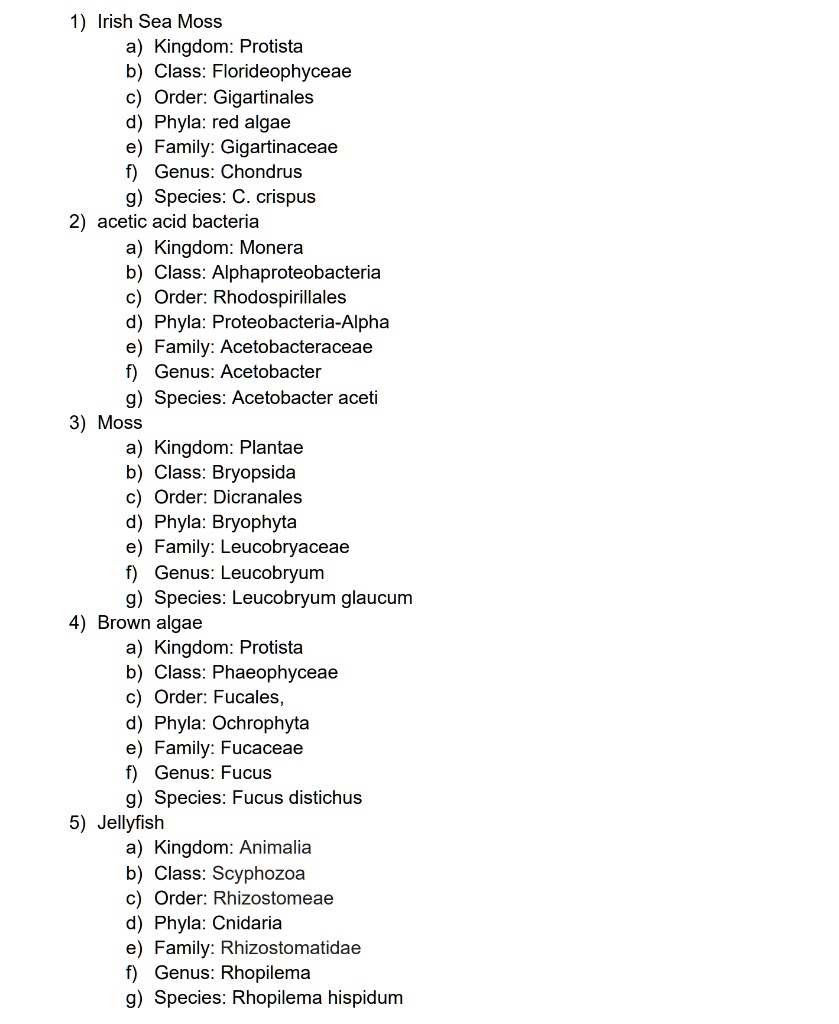 SOLVED Irish Sea Moss a) Kingdom Protista b) Class Florideophyceae Order Gigartinales Phylum