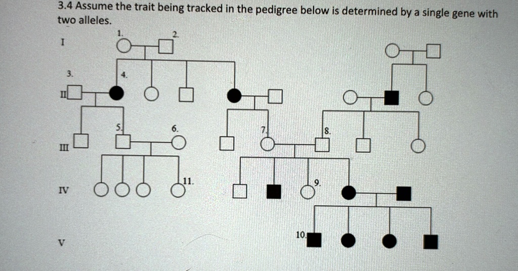 SOLVED: Assume the trait being tracked in the pedigree below is ...