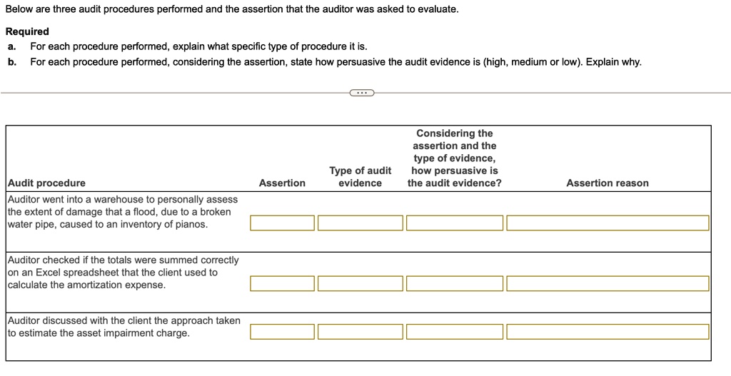 Assertions Audit