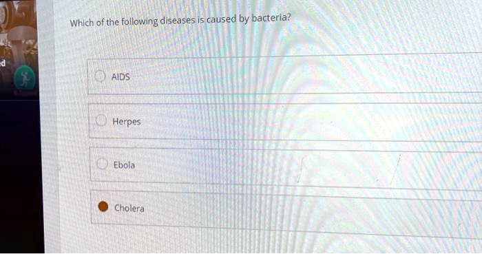 Which of the following diseases is caused by bacteria?
AIDS
Herpes
Ebola
Cholera