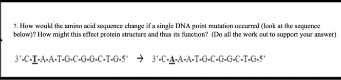 how would the amino acid sequence change if a single dna point mutation ...