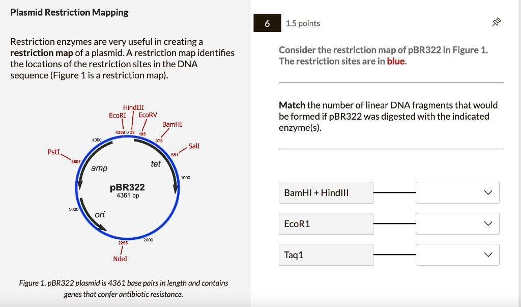 SOLVED plasmid 6 please help - 3082c4aa6a774314b21e8fcf96eae01e