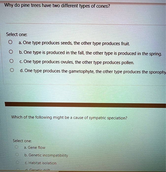 SOLVED Why do pine trees have two different types of cones? Select one