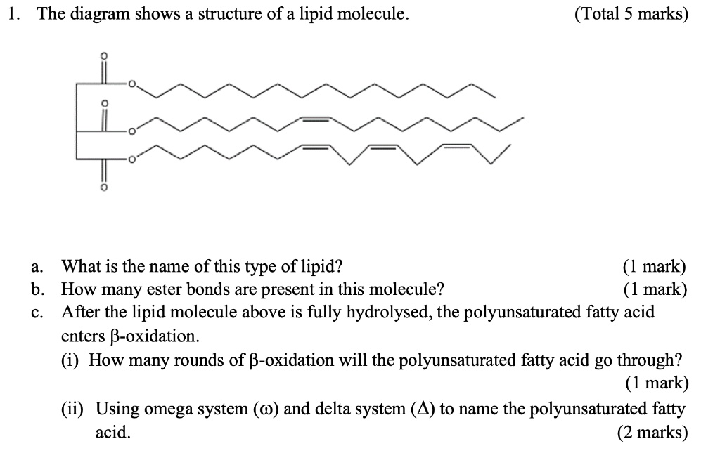 SOLVED 1. The diagram shows a structure of a lipid molecule (Total 5 marks) What is the name of
