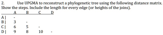 SOLVED: Use UPGMA to reconstruct a phylogenetic tree using the ...
