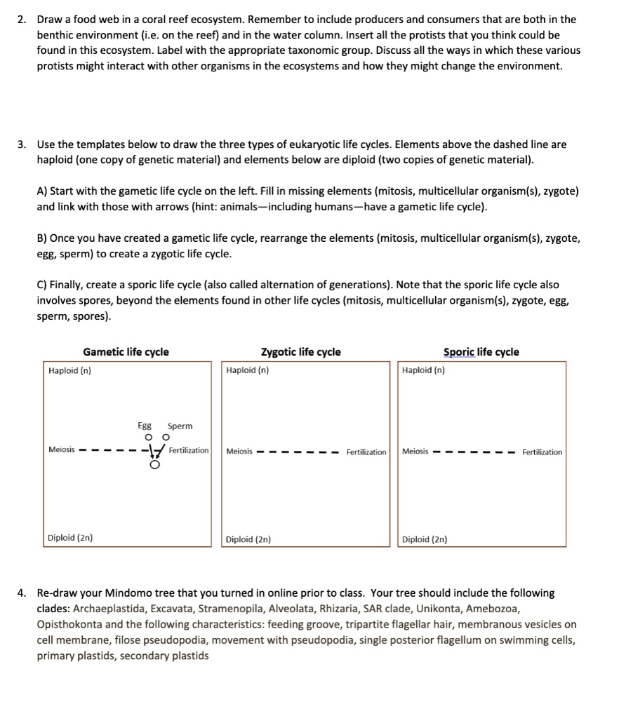 SOLVED: Draw a food web in a coral reef ecosystem. Remember to include ...