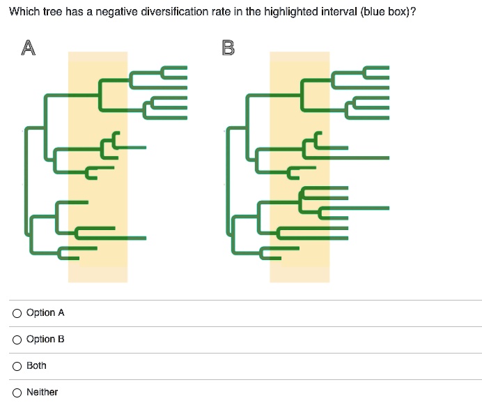 which tree has a negative diversification rate in the highlighted ...