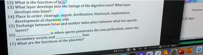 Video Solution: 12) What Is The Function Of Hcg? 13) What Layer 