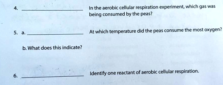 aerobic respiration peas experiment