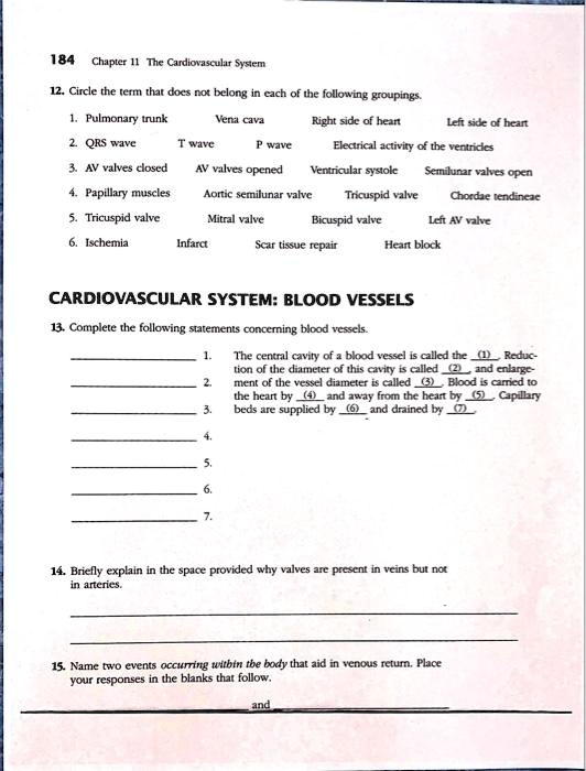 184 Chapter 11 The Cardiovascular System 12. Circle the term that does