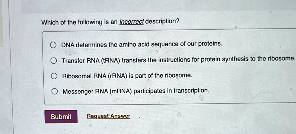 Which of the following is an incorrect description?

DNA determines the amino acid sequence of our proteins.

Transfer RNA (tRNA) transfers the instructions for protein synthesis to the ribosome.

Ribosomal RNA (rRNA) is part of the ribosome.

Messenger RNA (mRNA) participates in transcription.