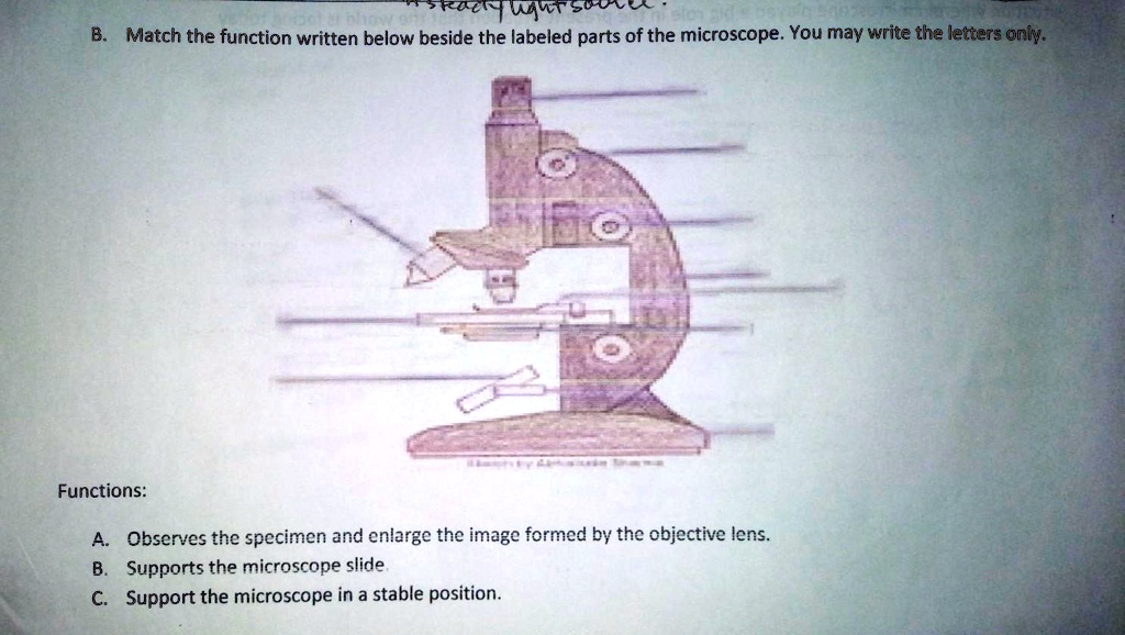 SOLVED Match the function written below beside the labeled parts of