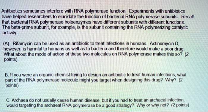 antibiotics bind to rna polymerase and