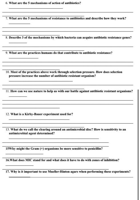 SOLVED:What are the = mcchanism action of antihiotica? What are the ...