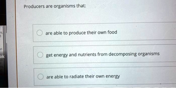 Producers are organisms that:
are able to produce their own food
get energy and nutrients from decomposing organisms
are able to radiate their own energy