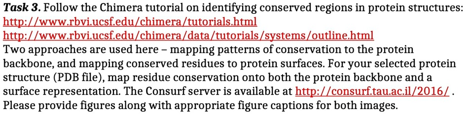Task 3. Follow the Chimera tutorial on identifying conserved regions in ...
