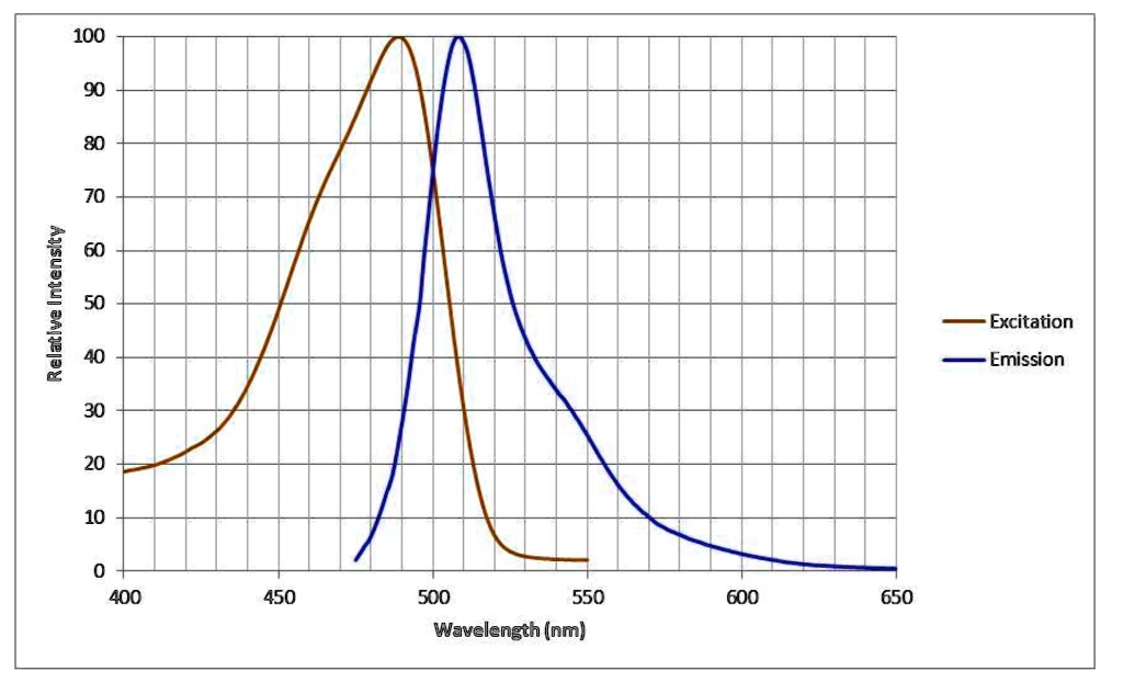 SOLVED Consider the excitation and emission spectra for the green