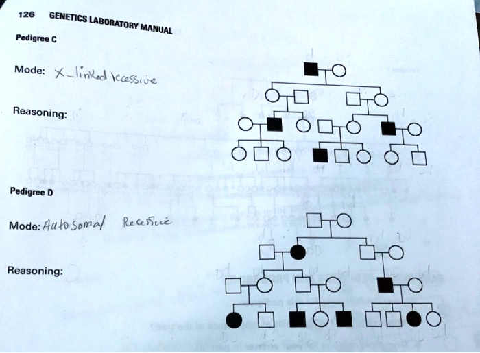 VIDEO solution: Pedigree Mode: X-linked recessive Pedigree Mode ...