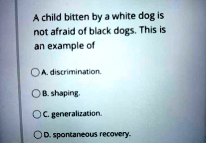 are dogs afraid of the color black