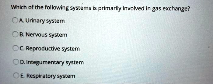 Which of the following systems is primarily involved in gas exchange?
A. Urinary system
B. Nervous system
C. Reproductive system
D. Integumentary system
E. Respiratory system