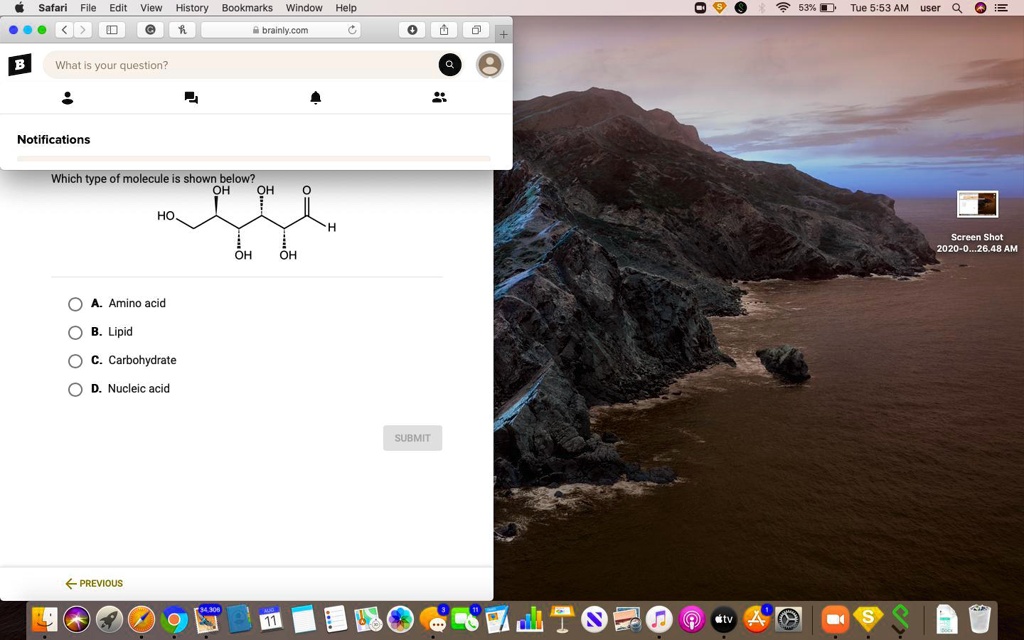 SOLVED: 'Please help, Which type of molecule is shown below? Safari
