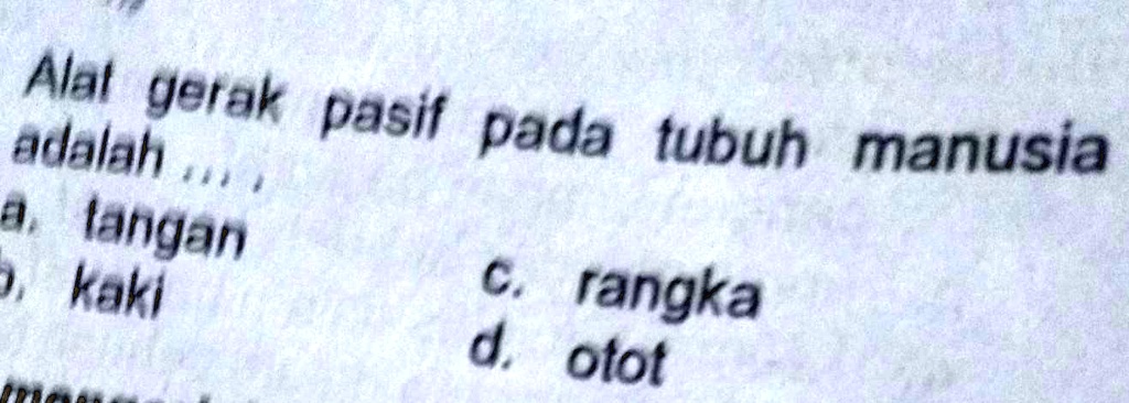 Solved: Alat Gerak Pasif Pada Tubuh Manusia Adalahgood Luck Alat Yerak 