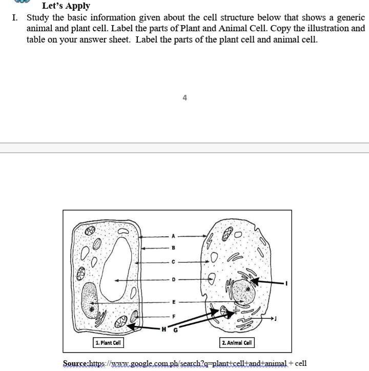 Let's Apply
I. Study the basic information given about the cell structure below that shows a generic
animal and plant cell. Label the parts of Plant and Animal Cell. Copy the illustration and
table on your answer sheet. Label the parts of the plant cell and animal cell.
1. Plant Cell
2. Animal Cell
Source:https://www.google.com.ph/search?q=plant+cell+and+animal + cell