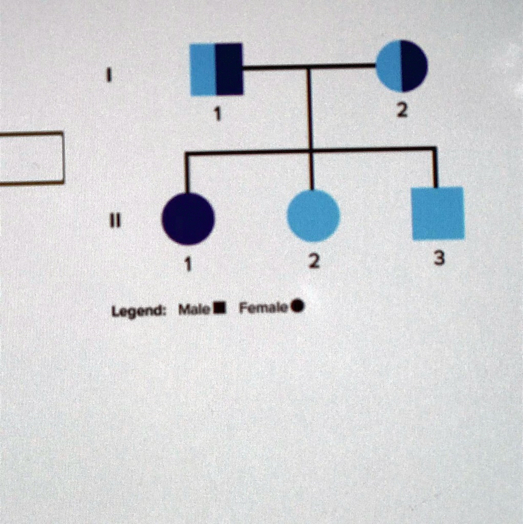 solved-what-do-the-roman-numerals-in-the-pedigree-diagram-represent-3