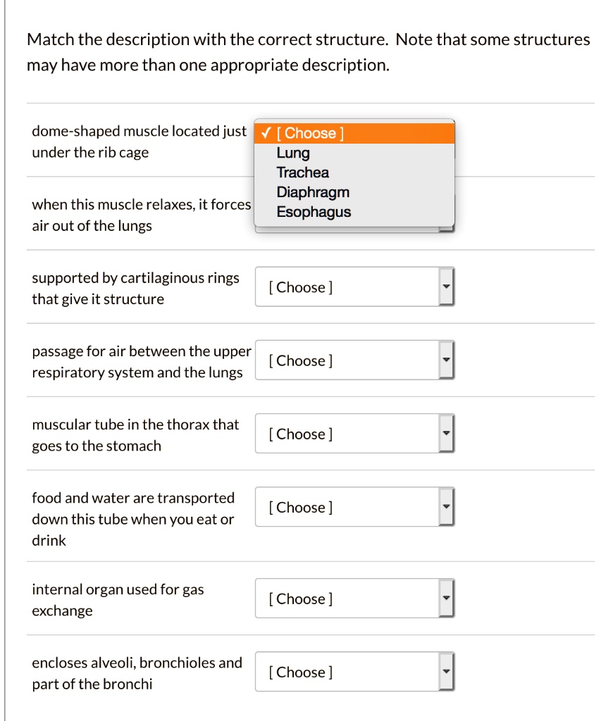 SOLVED Match the description with the correct structure Note that some